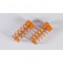 Dmpfer-Druckf.F1,progr.2,2x48 orange, 2St.