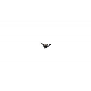 Blade 180 CFX: Taumelscheibe # BLH3406